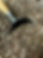 IMG_5218.jpeg