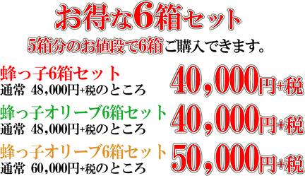 蜂っ子 お得な6箱セット.png