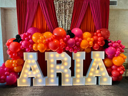Marquee and Balloons