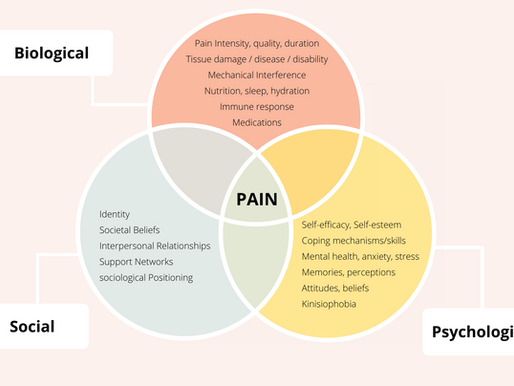 How Our Approach Works: Pain Psychology Treatment at Menda Health