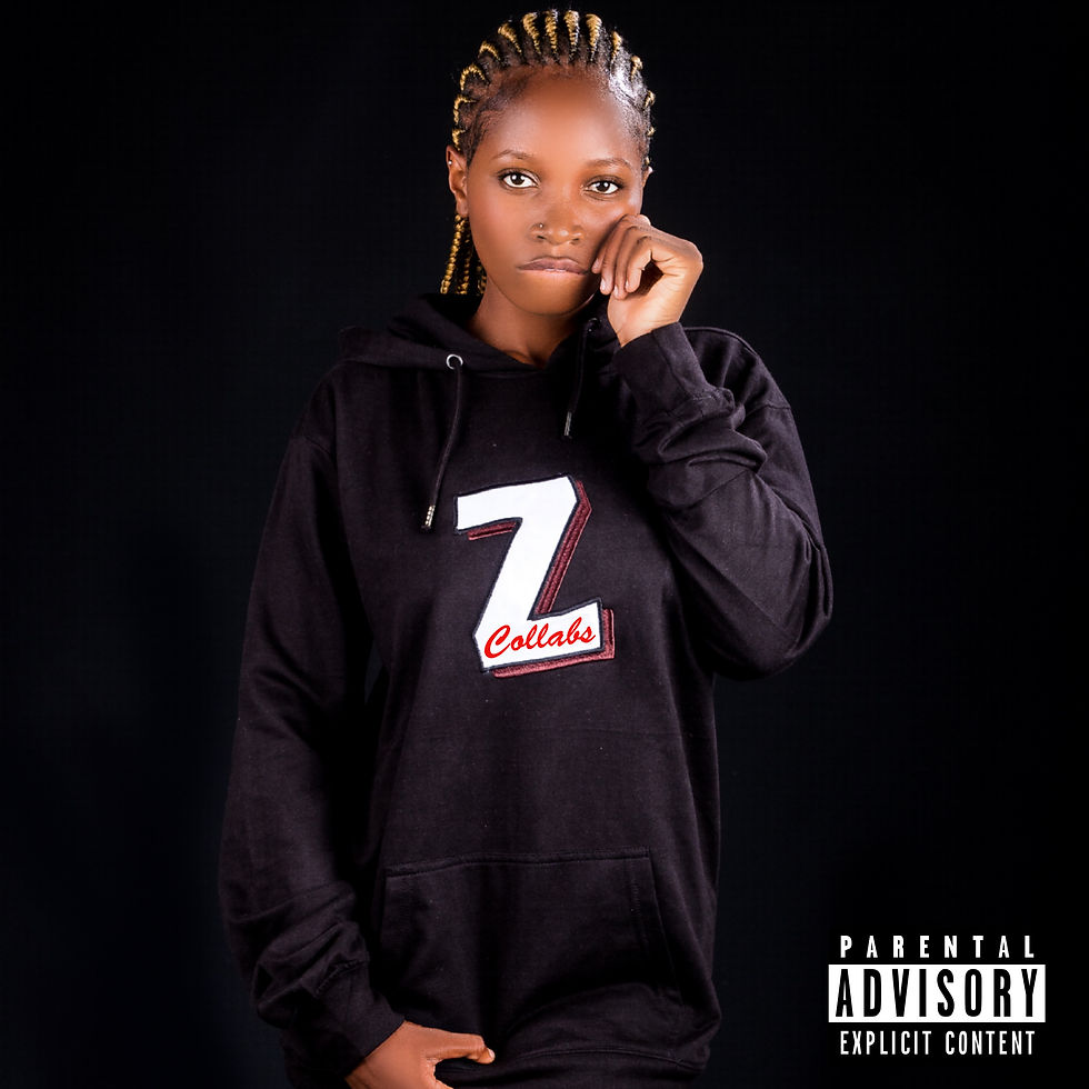 Zcollabs