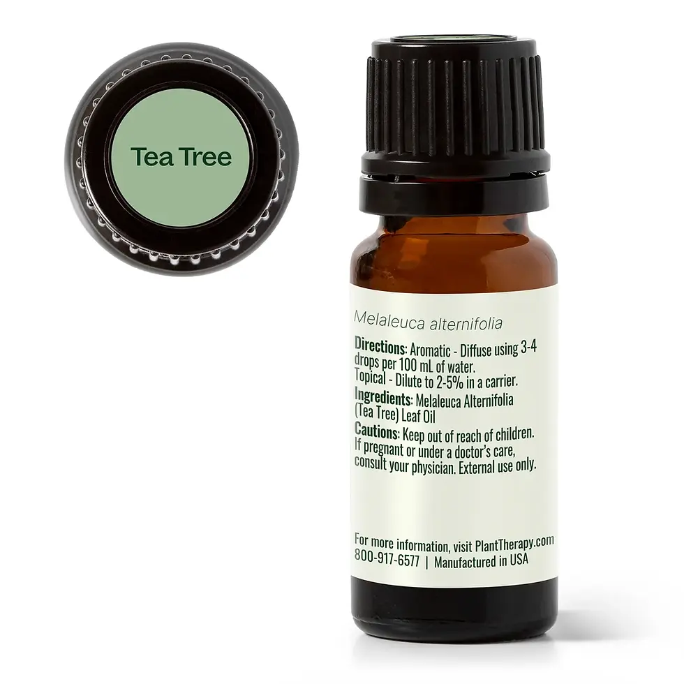 Thumbnail: Tea Tree Essential Oil