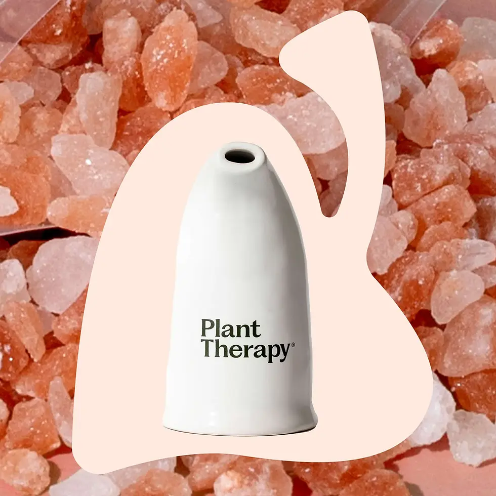 Thumbnail: Himalayan Salt Inhaler