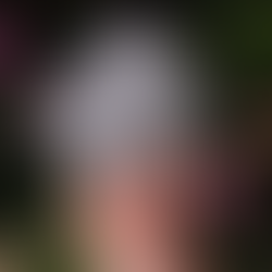 TourBox Elite Plus Review