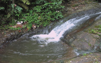 camilo-ponce-cascadas.gif