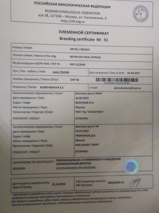 ИТТА-ПЛЕМЕННОЙ СЕРТИФИКАТ.jpg
