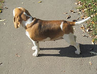 IMG_2986.JPG