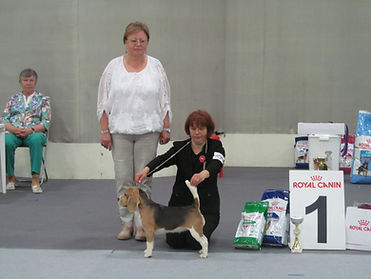 IMG_0648.JPG