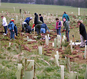 Poundbury Planting Residents and TfD volunteers.jpg