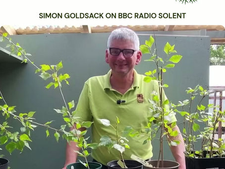Trees for Dorset Chairman Takes on BBC Radio Solent's Lie Detective