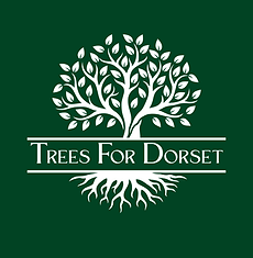Trees For Dorset - Green background