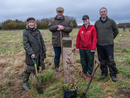 Sherwood Forest comes to Dorset