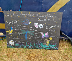 What you might see at the campsite