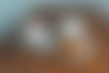 Gôla Gelato e Cafetina: deliciosa parceria em Campinas