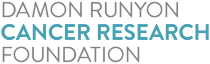 DR LOGO_xtralarge-min.png