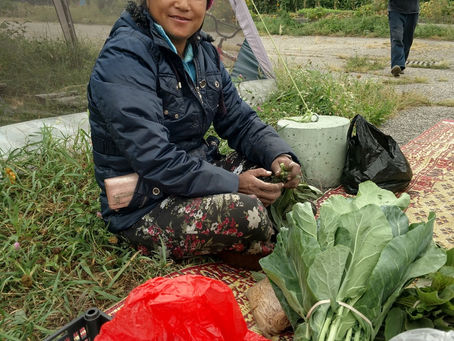 Fresh Food & Fresh Starts