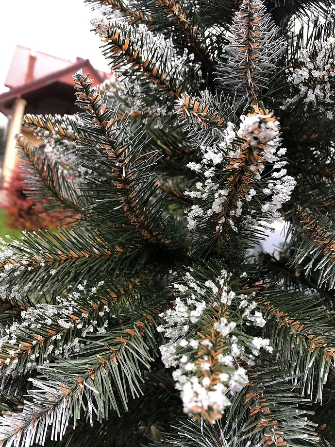 126817165_104916728115922_65967525905478