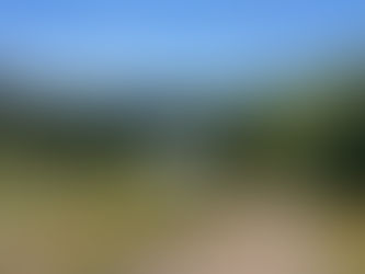 Bellingham Herald Feature