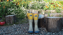 rainboots 1 (c) rosi koll.png