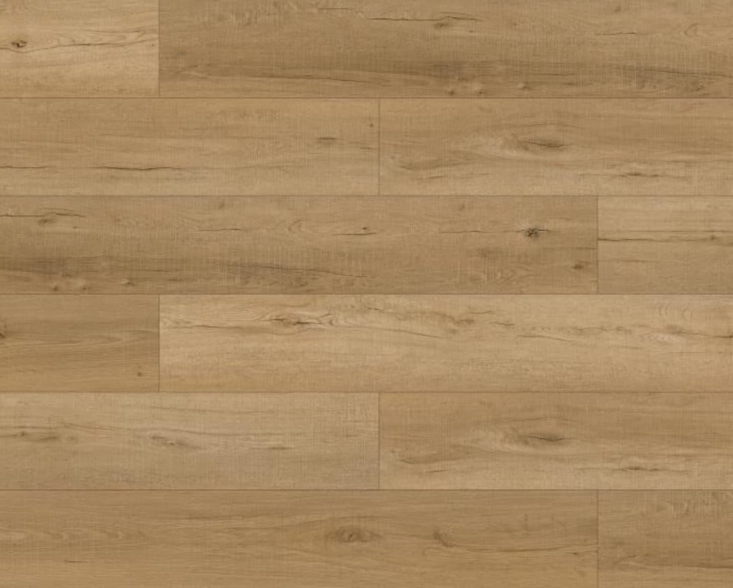 European Oak