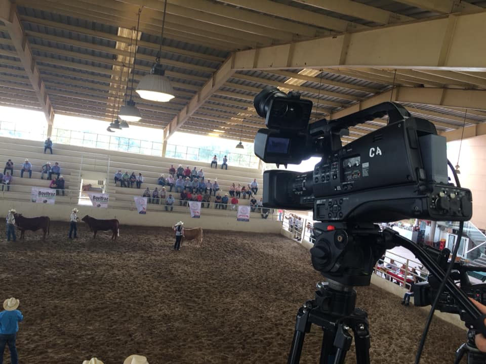 circuito cerrado de tv & streaming en monterrey