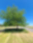 20220722_125724.jpg