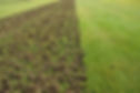 core-aeration-senske.jpg