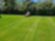 20220603_133411.jpg