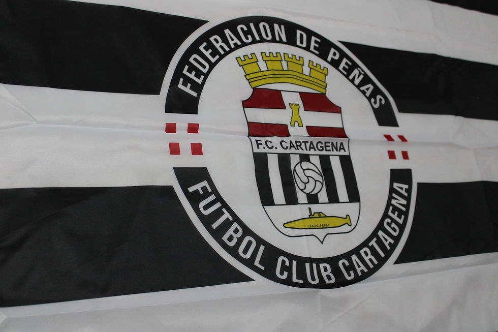 Miniatura: Bandera FPFCCT