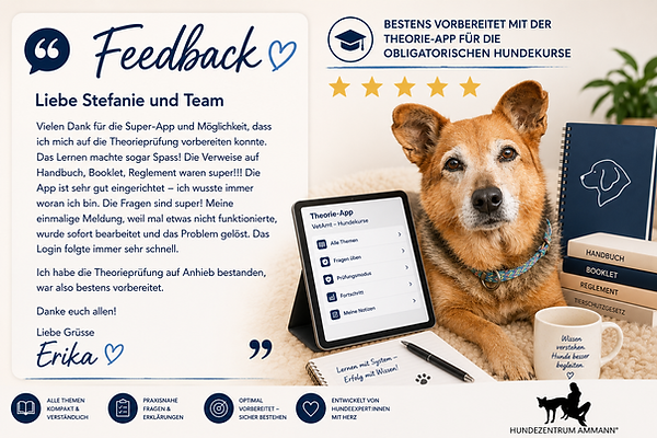 feedback lernapp.png