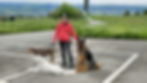 Dogsitter:in / Dogwalker:in