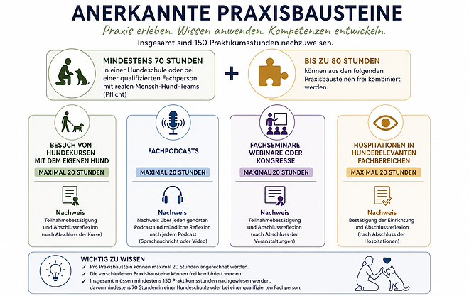 Anerkannte Praxisbausteine.png
