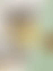 A guide on the cost of living in Leeds for students