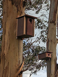 Drouin South Medium Thermal Haven Nest Box