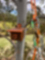 Pardalote Box Installation.jpeg