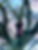 Ripplebrook 1