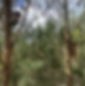241014_Nest_Boxes.jpg
