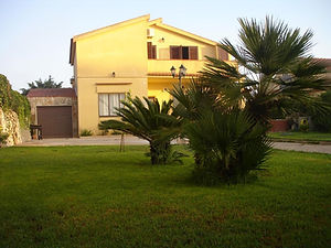 57945343.jpg