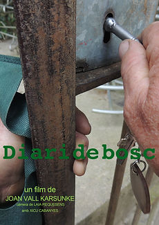 diari de bosc. cartell bo.jpg