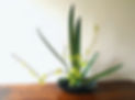 20190309_132945_edited_edited.jpg