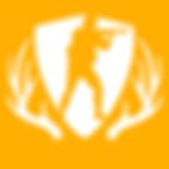SEL4 CSGO Orange bg.jpg