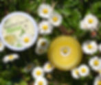 Gänseblümchensalbe