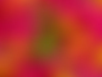 Violette Pasta mit Wildkräutern