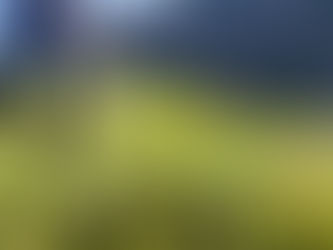 Die Heilkraft aus der Heublume