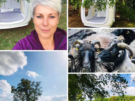 Sleeperoo-Naturerlebnisübernachtung im LiLa Land.