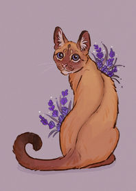 Siiamilainen kissa. Kaunis piirros istuvasta kissasta jolla on kukkia ympärillä