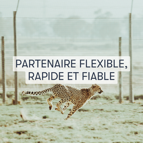 Partner - HUMAMI Center Approach