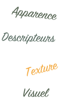 Intro (1).png
