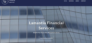 Lamantia Financial Services Website_edited.jpg
