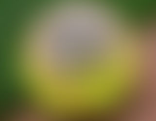 How Relationships Grow Your Business More Than Any Marketing Tactic